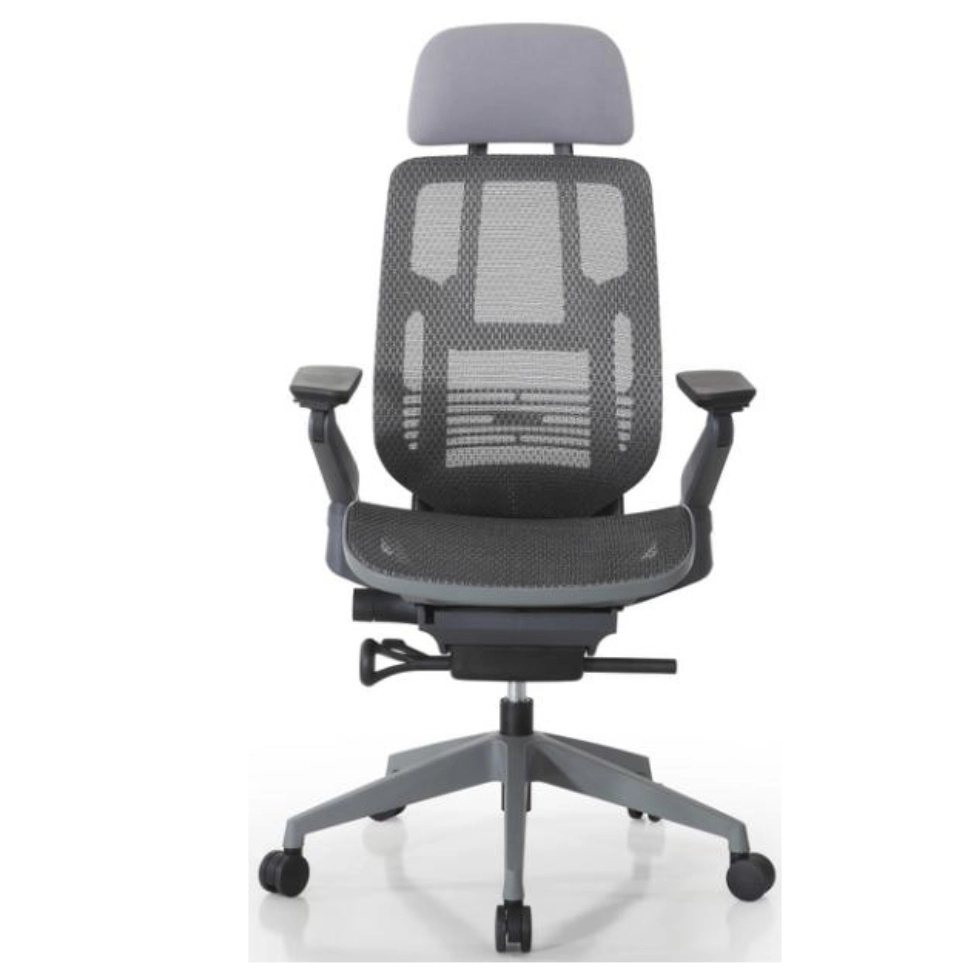 Sillón Ejecutivo Ergo Sit